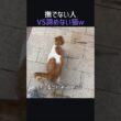撫でない人VS諦めない猫ｗ