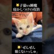 🐱子猫vs睡魔、寝かしつけ際の攻防💤   #cat #kitten #猫 #子猫 #ねこ #こねこ #保護猫  #shorts  #猫のいる暮らし