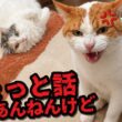 相方にクレーム勃発ッッ…！！！