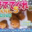【緊急保護】へその緒がついた生後1日の子猫5匹…公園に捨てられた命。パパとママの愛情が紡いだ命のバトン【ちんちくりん5前編・未公開映像含む】