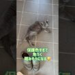 ⚠️足元注意