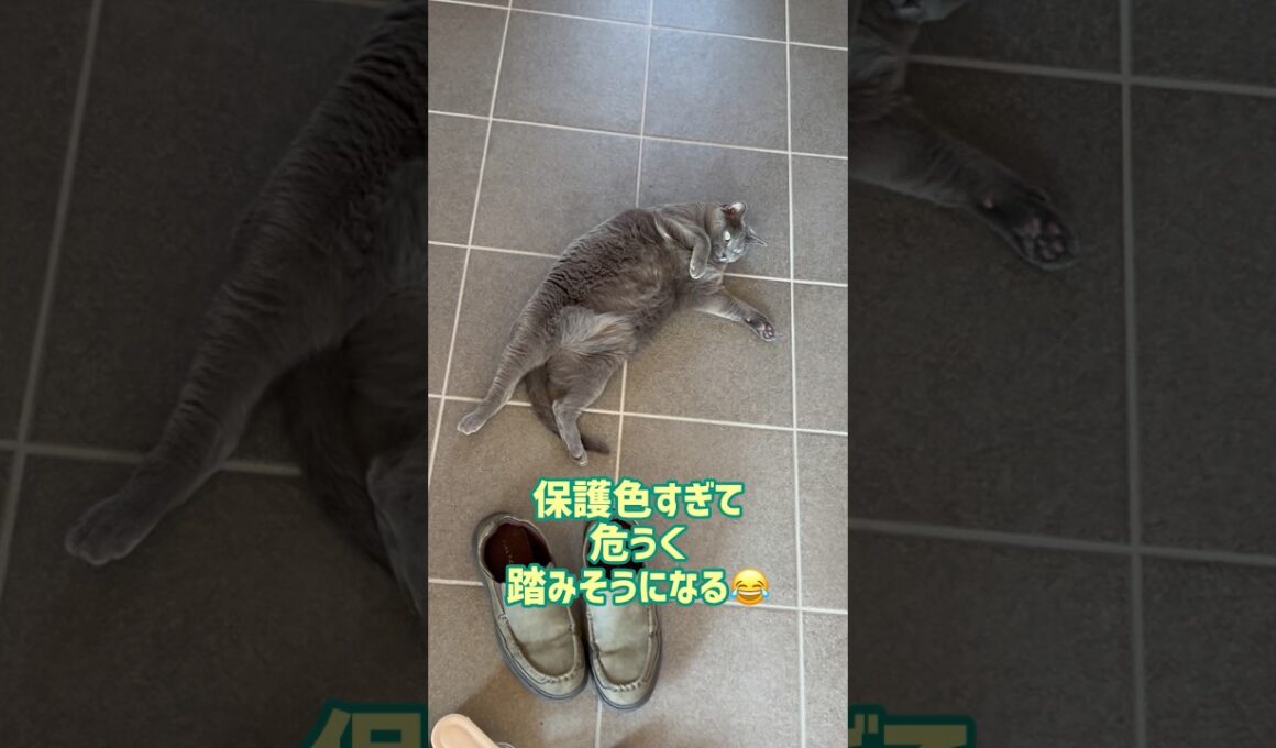 ⚠️足元注意