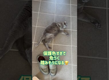 ⚠️足元注意