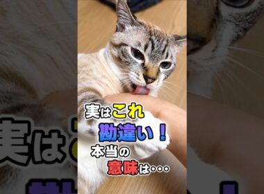 誤解されている猫の行動10選 #猫雑学 #ねこたんの解説 #猫
