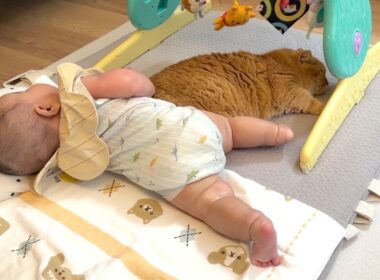 生後４ヶ月の赤ちゃんとの添い寝の距離感