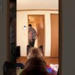 部屋から出ていく僕を追いかけるシャム猫の追いかけ方が凄い🏃 #shorts