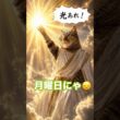 保護猫希紗羅のサビ猫日記７１「旧約聖書　創世記」#保護猫 #希紗羅 #オシキャット #サビ猫 #猫のいる暮らし