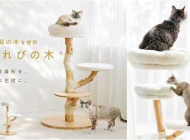 天然木の表情を楽しむ ”愛猫専用の世界に1つだけのキャットタワー” 使いやすさとインテリア性を両立 「こもれびの木」9月2日新発売 | MOON-X Japan株式会社