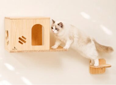 「壁が、猫のお気に入りの場所に」天然木の壁掛けキャットウォーク"にゃんウォール"がAmazonベストセラー1位を獲得 | 鹿児島・九州プレスリリース | 生活情報 | くらし