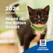 生涯の青写真：Hill's「子猫の世界（World of the Kitten）」レポート、獣医療チームとペットオーナーによる重要な最初の1年への対応を支援 | Hill's Pet Nutritionのプレスリリース