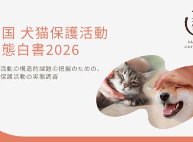 【調査データ】9月20日からの「動物愛護週間」を前に、「全国 犬猫保護活動 実態白書2026」を公開（全国120団体調査） | 犬猫生活株式会社のプレスリリース