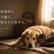 [家族も居場所も失った犬猫に、もう一度生きる場所を。]の画像