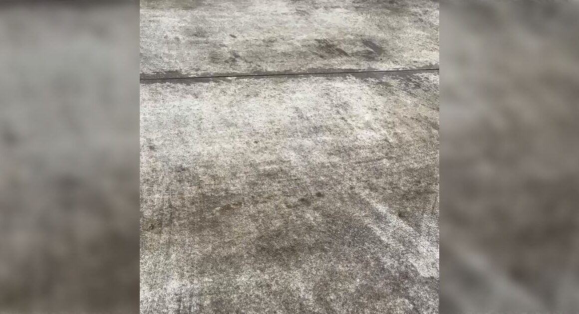 入院手術を終えて11日目に帰宅したときの猫の様子を写した動画、よほど何か重要なことを言っているらしく動画を見てたら猫たちが一斉に起きてそわそわしだした - Togetter