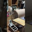 肥満体シャムのパンダ。妹の雫が、猫トンネルを通ったが、パンダは通れません💦