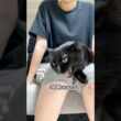 妻の事が好き過ぎて、思わず発射してしまう猫