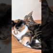 He won her back!!