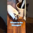 She’d Like to Speak to the Manager ￼