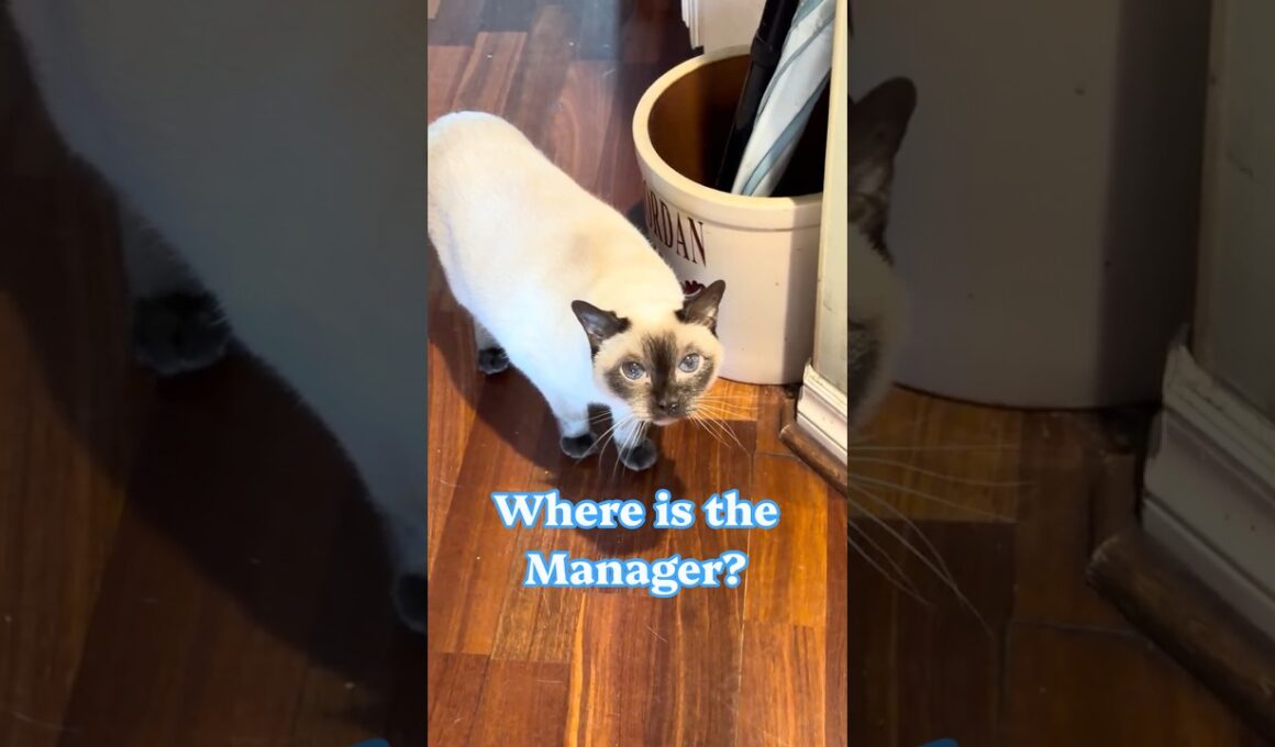 She’d Like to Speak to the Manager ￼