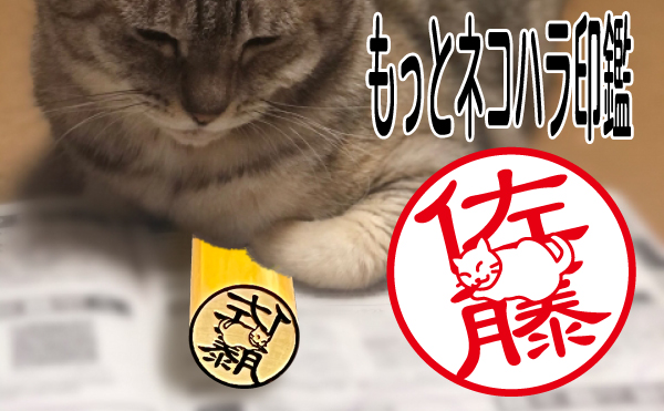 メイン