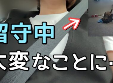 コレはヤバい！留守中にペットカメラを覗いたらニャンプロレスが開催されてました【おまけが本編回】