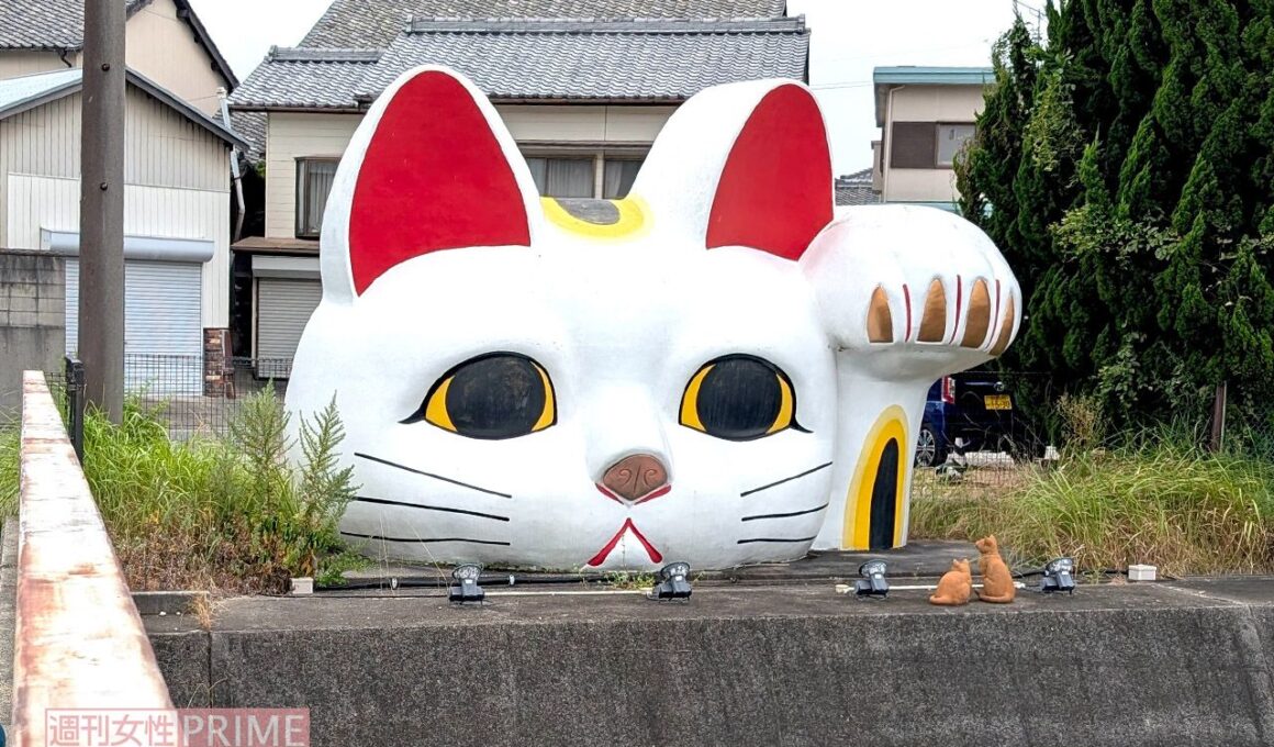 《愛知常滑のランドマーク》巨大見守り猫『とこにゃん』が真っ赤に！観光協会が明かした「愛知・名古屋アジア大会」仕様《2026年9月Choice》 | 週刊女性PRIME