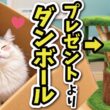 【悲報】５万円もした誕生日プレゼント、全くご利用になられず…