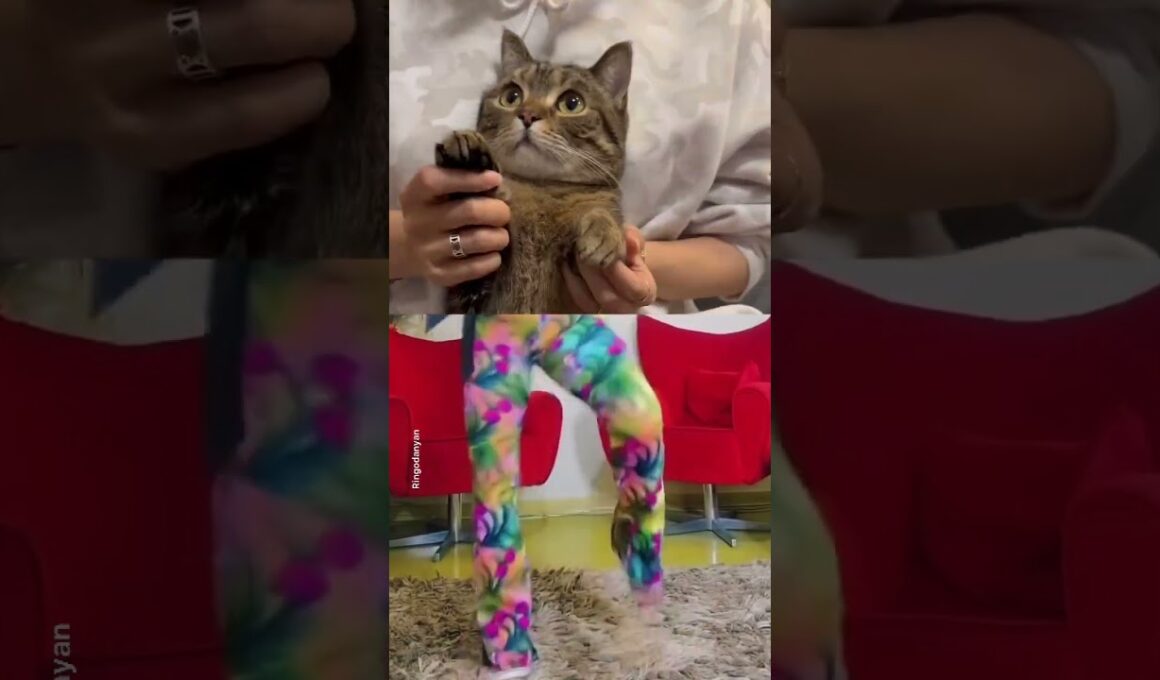I win the trend! 🕺😻 duet with @soniamarac116 #shorts