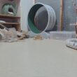 音あり■子猫室ライブ■子猫猫1+2匹■　20260925　12：31〜