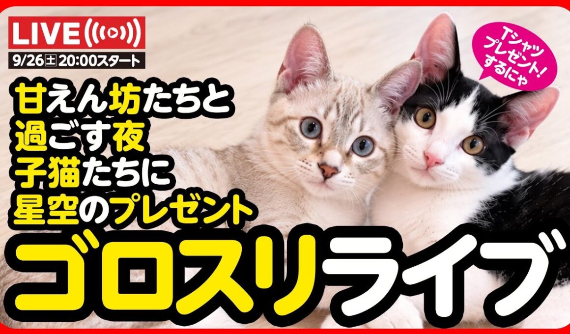 🔴【9月26日(土) 20時スタート】甘えん坊たちと過ごす星空ライブ🌟