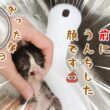 【子猫】シャワーが始まってすぐピチィピチィうんちをはじめてプチパニック【保護猫生活11日目】