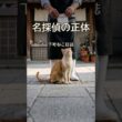 目撃係｜商店街の犯人を当てた猫の正体は、ポケットの煮干しだった【AI猫物語】