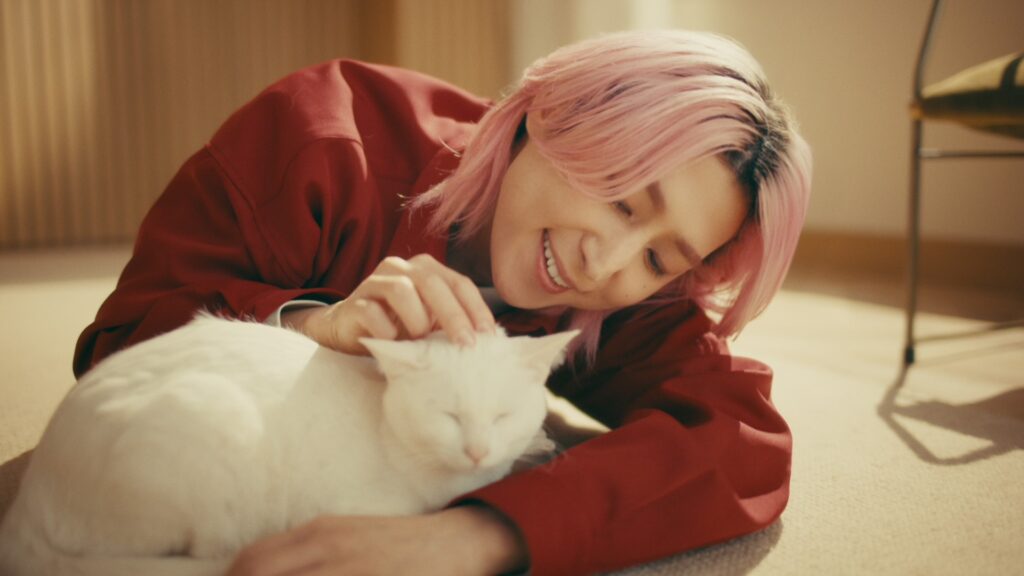 Snow Man佐久間大介　新CM出演で猫様・愛犬と相思相愛な笑顔届ける – emogram［エモグラム］
