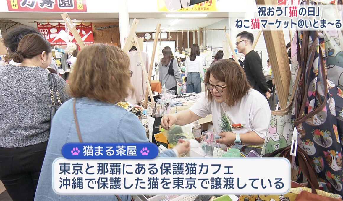 祝おう猫の日「ねこ猫マーケットｉｎ糸満」
