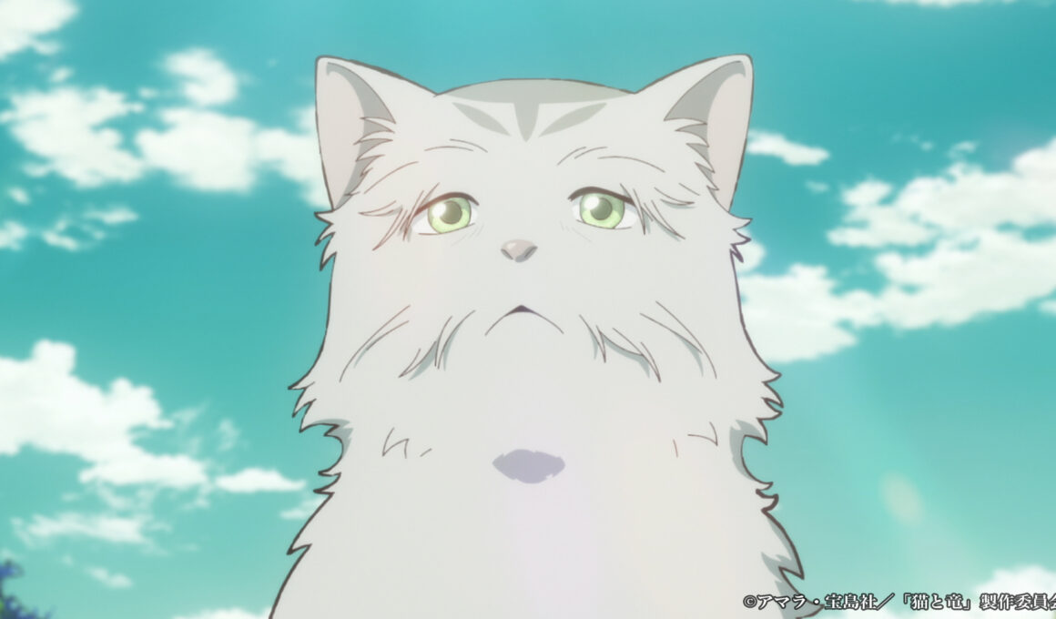 TVアニメ『猫と竜』第11話のあらすじ公開！　自らの「最期の時」を悟った老猫・ポムポラは、思い出の地を巡る最期の旅に出る - eeo Media（イーオメディア）