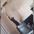 『出動3秒前』猫が静かに大変なことになっており、事故の予兆がいっぱいあって頭を抱える「猫すぎる」 - Togetter