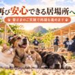 火災で失った保護犬猫の居場所をもう一度 - CAMPFIRE (キャンプファイヤー)