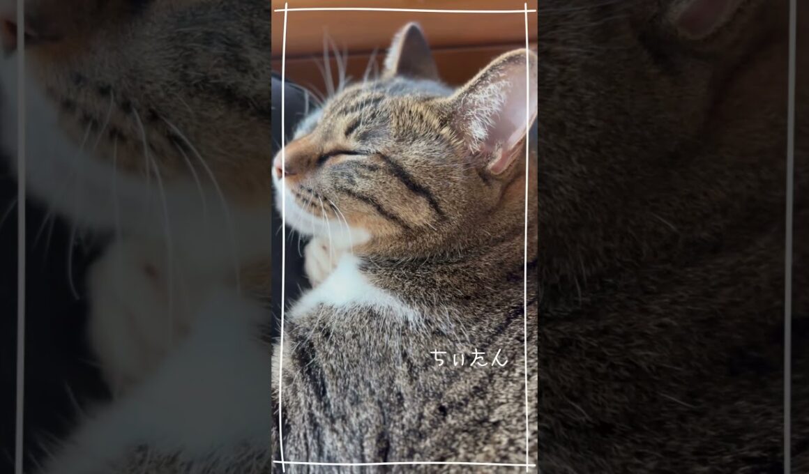 2026.10.6