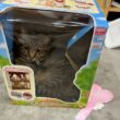 猫がいなくて焦ったらコレだよ…名前呼んでたらニャンとかスンとか言ってくれます？「シルバニャアファミリー」「4950円は大特価すぎる、買います」 - Togetter
