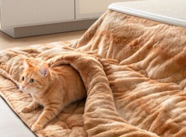 プレスリリース：猫のこたつで、丸くなろう。いつものこたつを“猫仕様”に！人気シリーズ『もはや、ねこ。』からこたつ布団セットが登場（PR TIMES） | 毎日新聞
