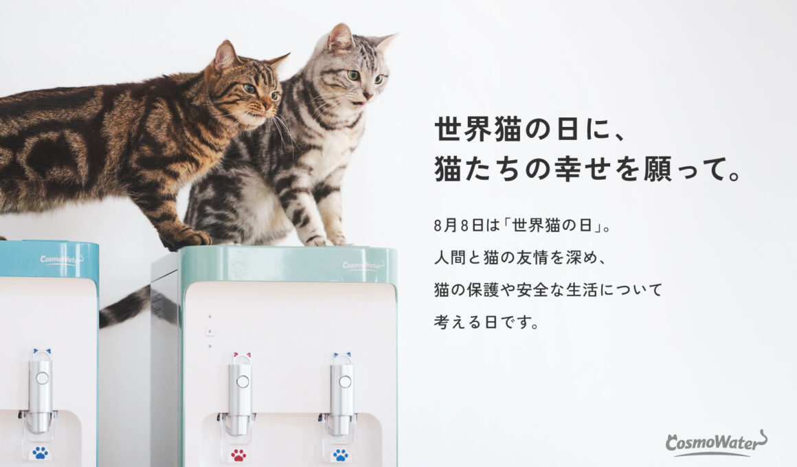 【世界猫の日に、猫たちの幸せを願って。】