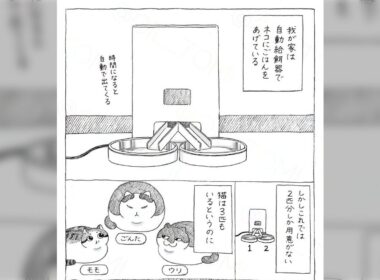 先住猫たちとの自動給餌器ダッシュの先着争いで「足が遅い」以外の理由で負けてしまう猫のマンガ - Togetter