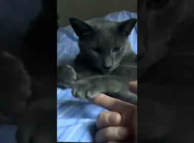 It’s 5:47 In The Morning, Hugo…