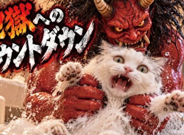 ついにこの時が来てしまいました…！！！