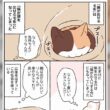 腕が出せる毛布を買ったら、猫が使いこなし始めて「猫が頭を出せる毛布」にされてしまった→その機能の方が欲しかったかも！ - Togetter