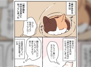 腕が出せる毛布を買ったら、猫が使いこなし始めて「猫が頭を出せる毛布」にされてしまった→その機能の方が欲しかったかも！ - Togetter