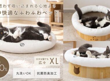 猫壱が4wayベッドのモフリングXLを発売 バリバリボウルXLにも対応 | Dellows News（デロウズニュース）