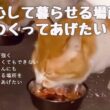 安心して暮らせる場所をつくってあげたい - CAMPFIRE (キャンプファイヤー)