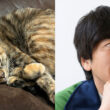 しずる・純「ロコディ堂前に見限られた」愛猫家とは思えない写真フォルダの中身と独特すぎる猫の愛し方「なでるのは50回まで」 | お笑い芸人の“うちの子”紹介