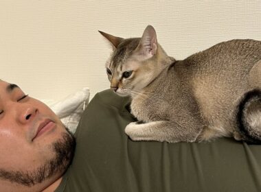 【令和ロマン・松井ケムリと愛猫】「生き物の名前は全部、幸子でいい。それ以外は人間の傲慢」愛するあまりSNSに猫の写真を載せられない理由とは？ | お笑い芸人の“うちの子”紹介