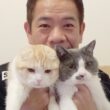愛猫3匹とは「中学2年生の男の子に対するような感覚」ネコ科大好き芸人FUJIWARA原西の“猫がいる暮らし” | お笑い芸人の“うちの子”紹介